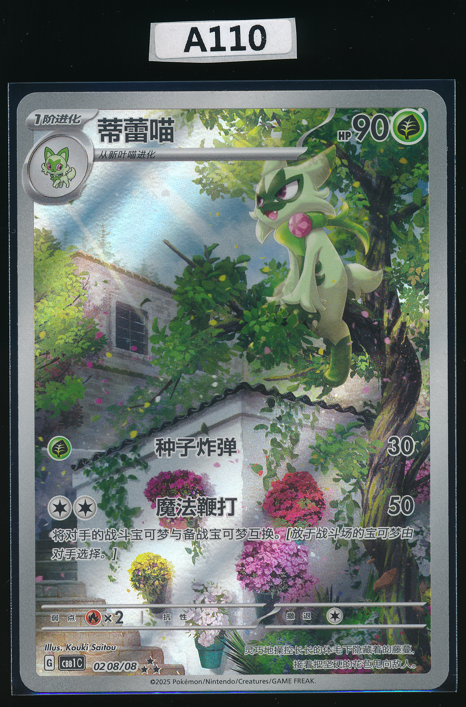 Floragato 3Star  02 08/08 Simplified Chinese（A110）