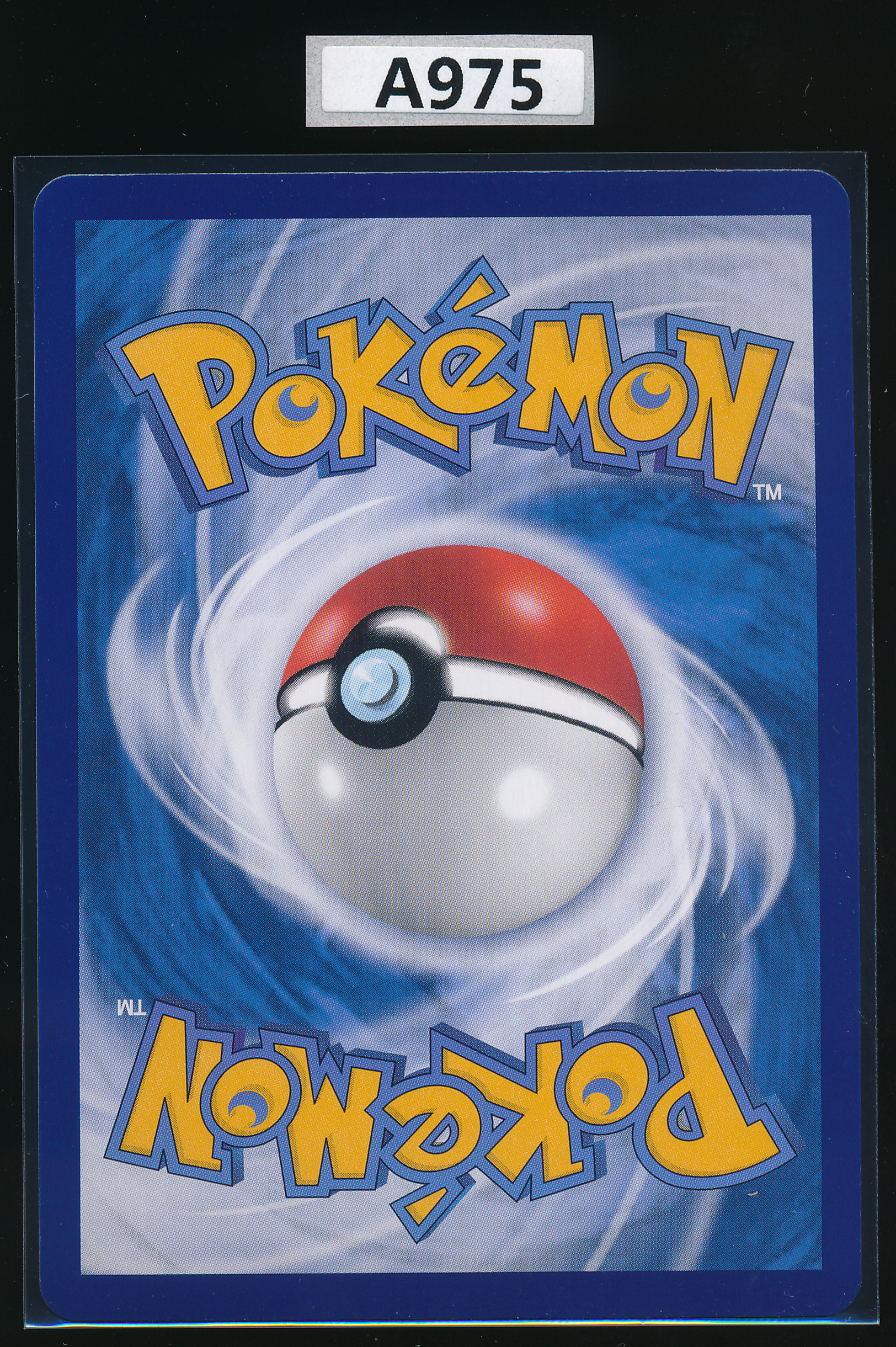 Charizard & Braixen GX RR 003/194 Traditional Chinese（A975）