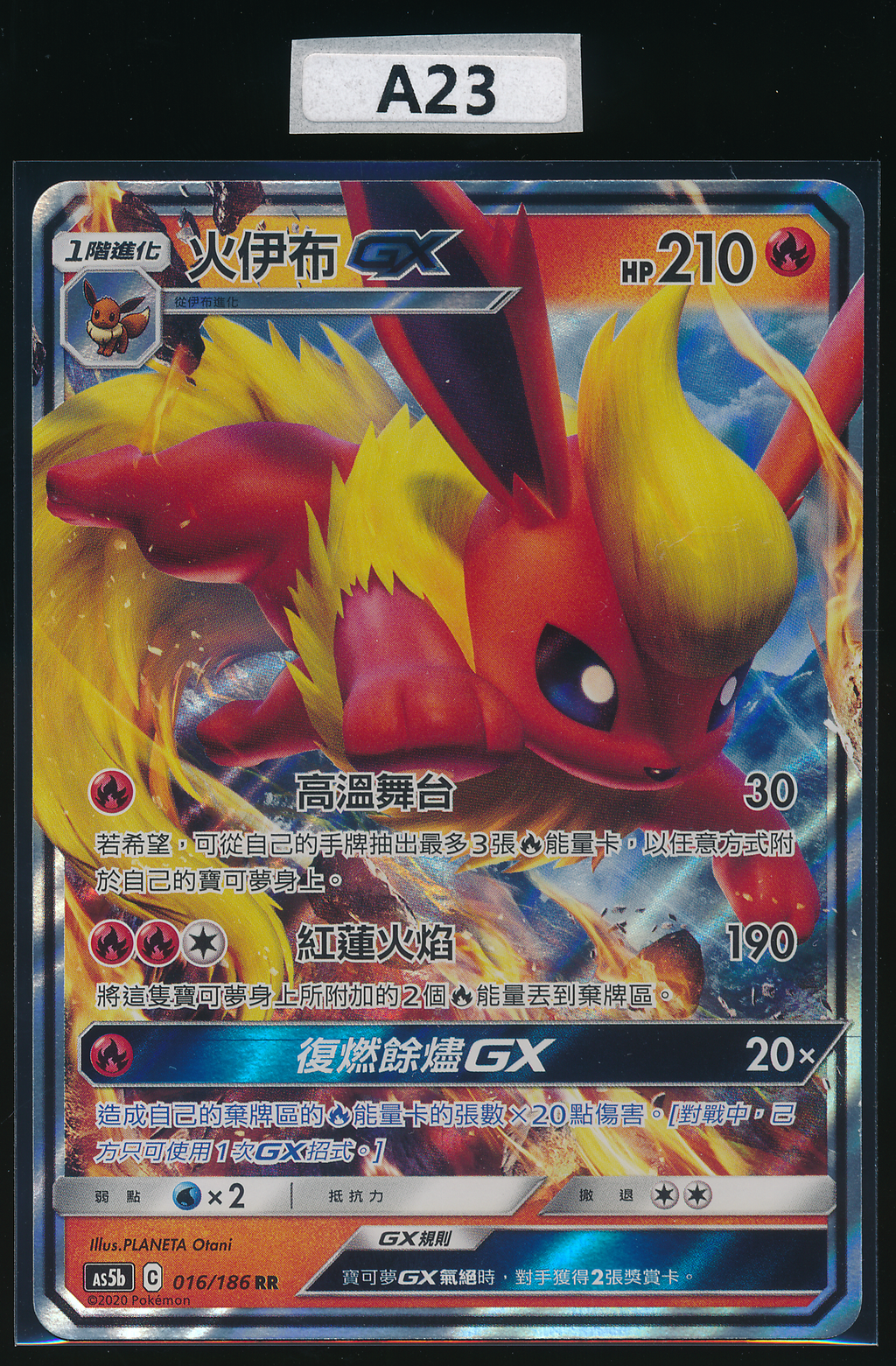 Flareon RR 016/186 Simplified Chinese（A23）