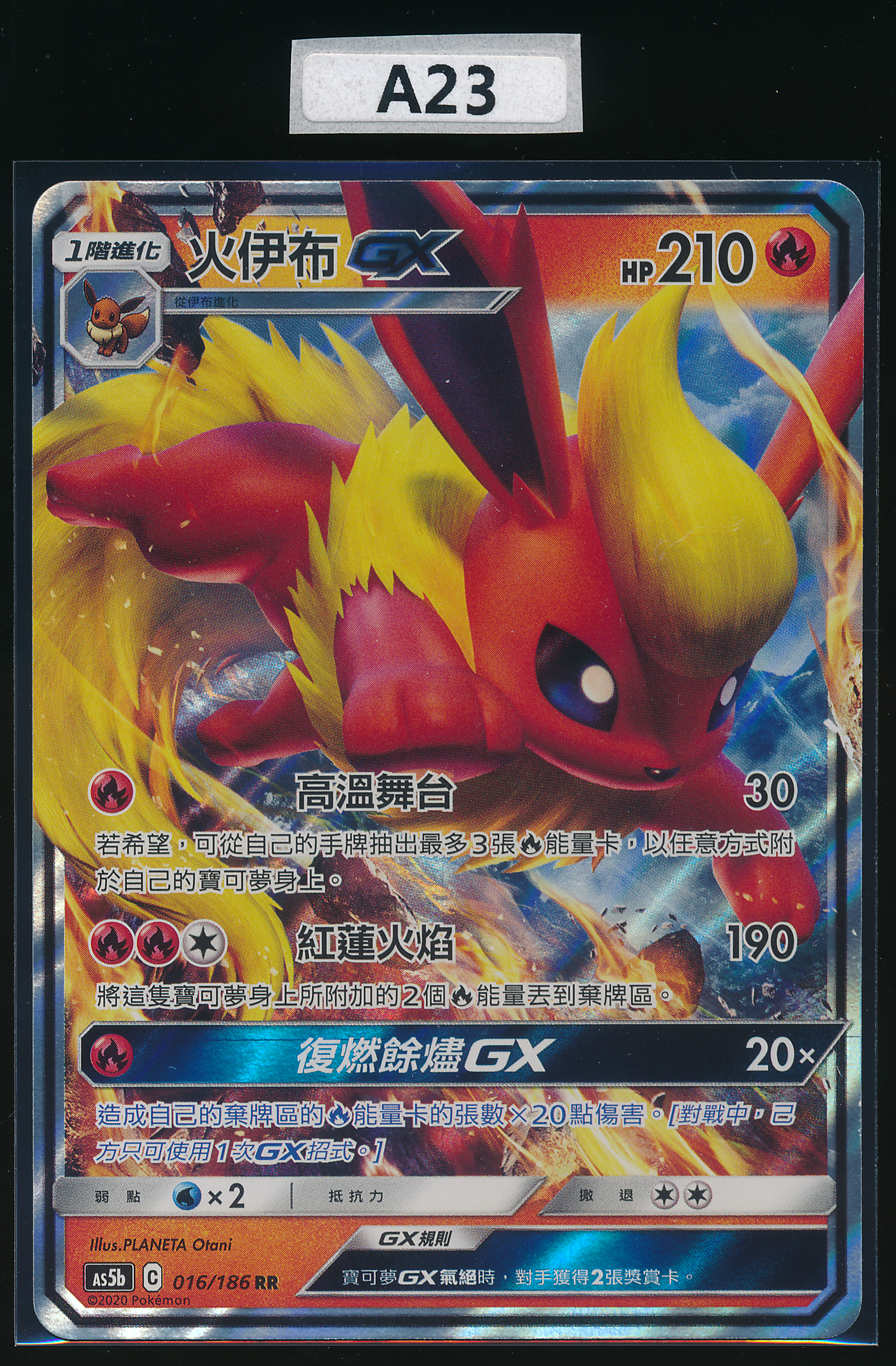 Flareon RR 016/186 Simplified Chinese（A23）